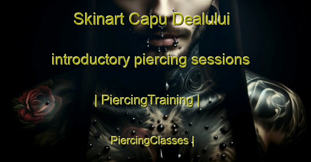 Skinart Capu Dealului introductory piercing sessions | PiercingTraining | PiercingClasses | SkinartTraining-Romania